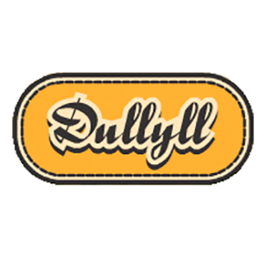 DULLYLL S. A.